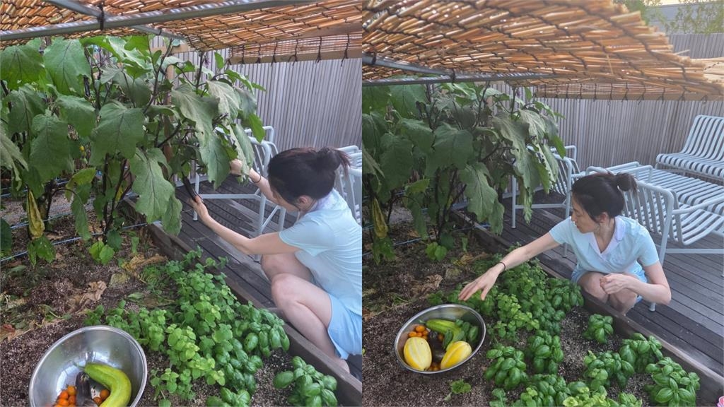 《大長今》54歲資深女星驚變農婦?「素顏蹲地摘菜」凍齡樣貌全曝光