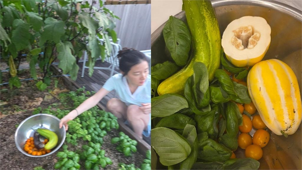 《大長今》54歲資深女星驚變農婦?「素顏蹲地摘菜」凍齡樣貌全曝光