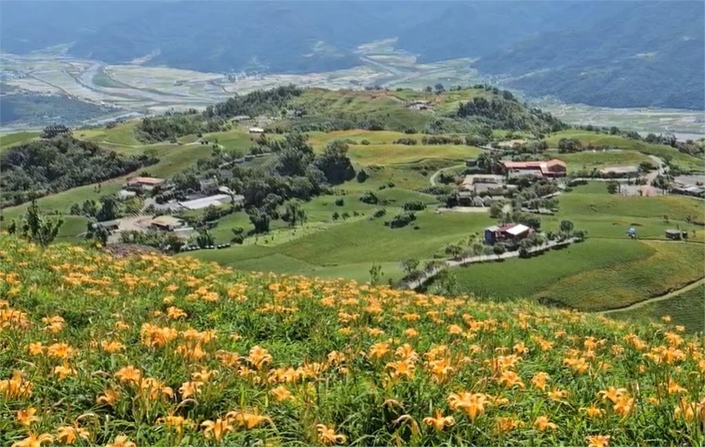 快新聞／花蓮赤科山、六十石山金針花盛開　遊客：很像來到小瑞士