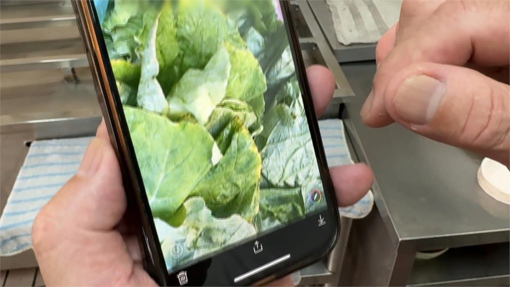 7月接連颱風、淹水農損慘價飆漲　輕颱「楊柳」進逼菜價恐再波動