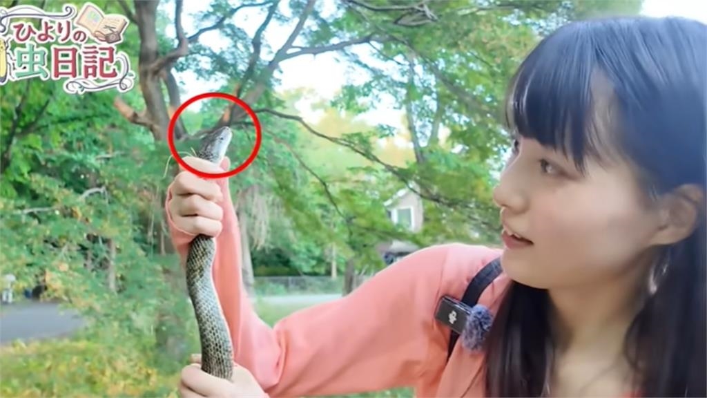 日本超反差20歲「昆蟲系萌妹」暴紅！徒手抓蛇「淡定零尖叫」網看呆