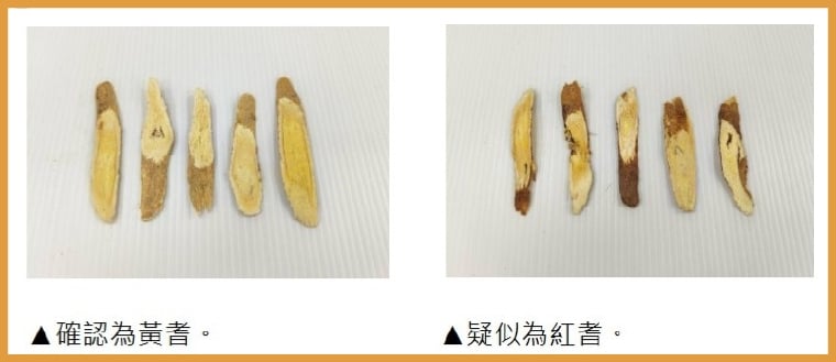辨別藥材真偽！ 消基會進行黃耆等4種中藥材基原鑑別