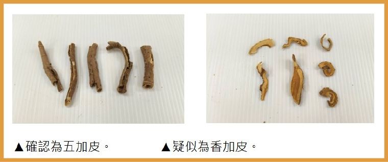 辨別藥材真偽！ 消基會進行黃耆等4種中藥材基原鑑別