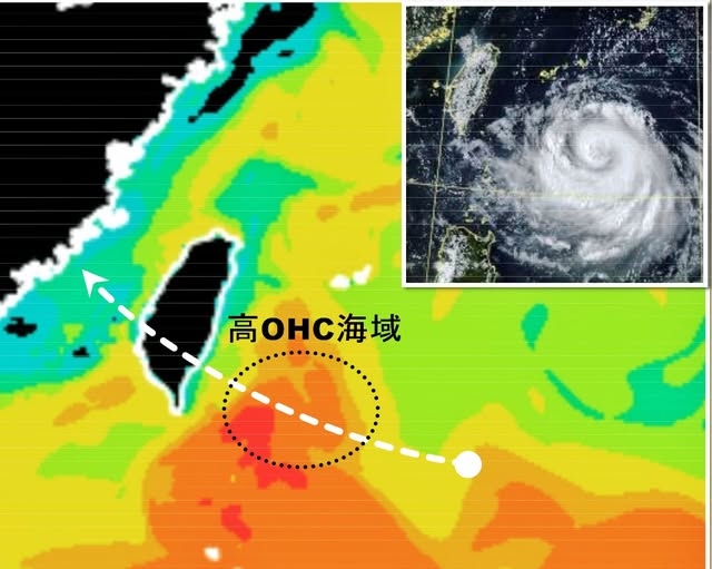 中颱楊柳路徑「持續北移」！這3地區拉警報專家籲：恐以「顛峰之姿」侵襲