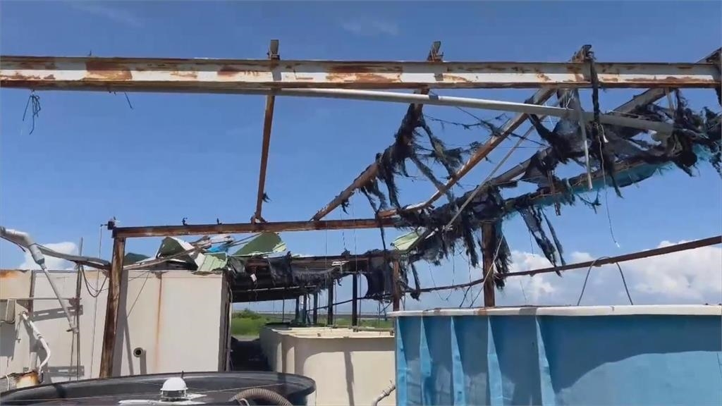 「十大神農」魚塭因丹娜絲滿目瘡痍　積極整備應對楊柳颱風