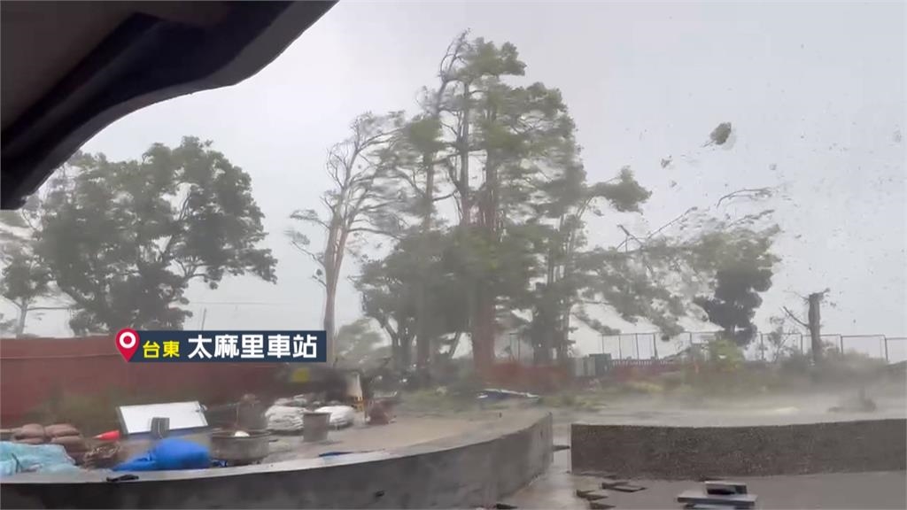 楊柳颱風/「楊柳」挾魔王風來襲! 台東樹倒鐵皮歪、縣府玻璃門遭吹破