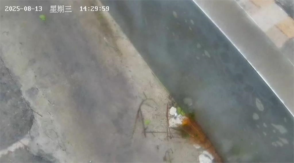 快新聞／楊柳來了！小琉球鏡頭君不敵強風豪雨　慘被吹「低頭」陣亡