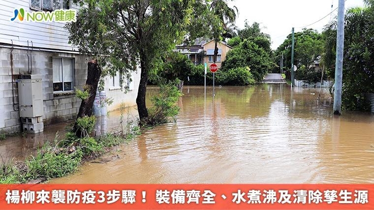 楊柳來襲防疫3步驟！ 裝備齊全、水煮沸及清除孳生源