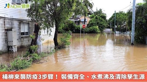 楊柳來襲防疫3步驟! 裝備齊全、水煮沸及清除孳生源