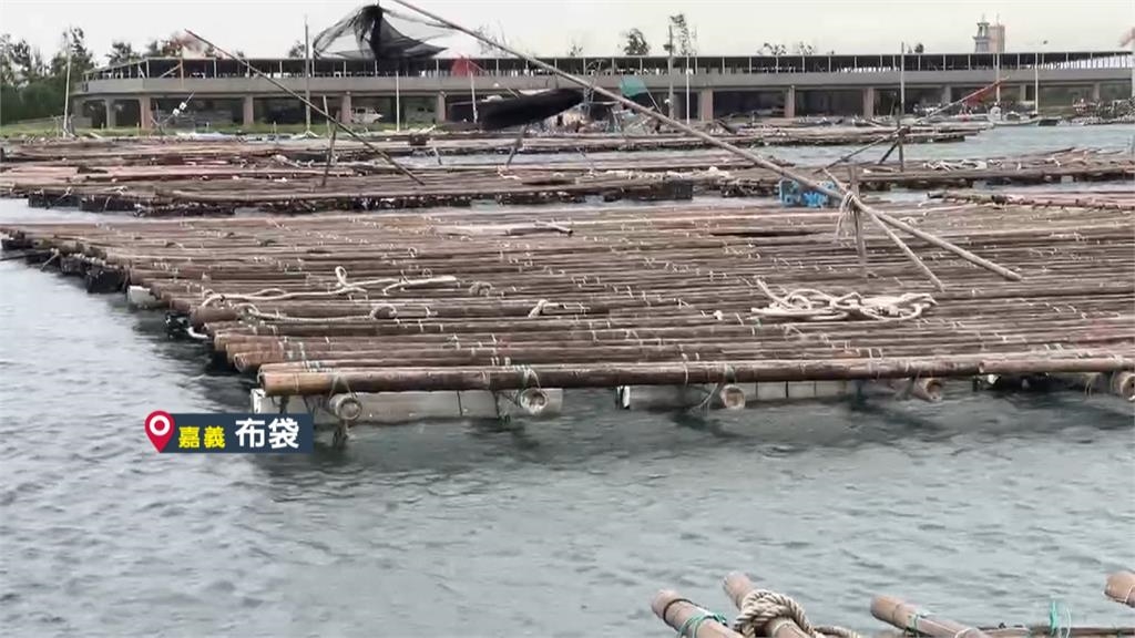 嘉義東石海岸線禁入　遊客轉戰海產店大啖烤牡蠣