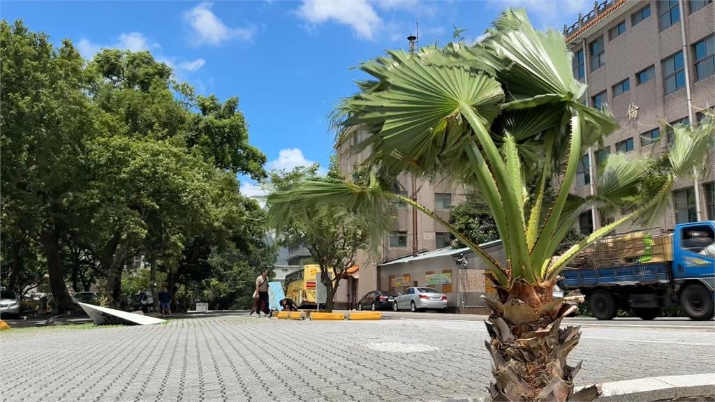 楊柳颱風帶來「角隅效應」　文化大學風勢強人站不穩