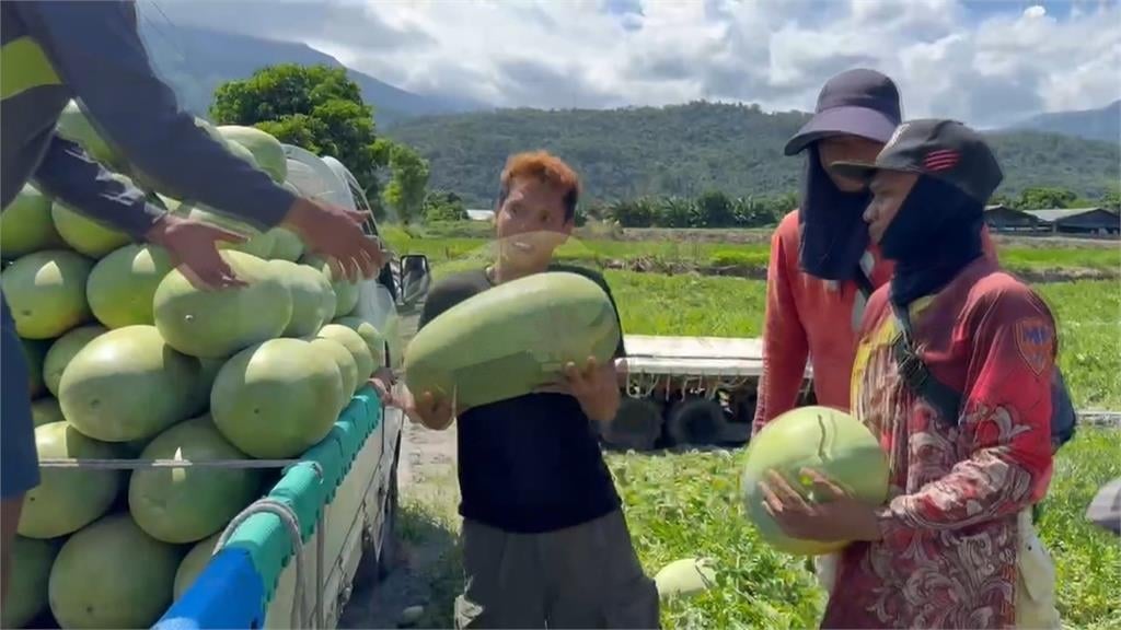 楊柳颱風逼進!撤除花蓮車站裝置藝術、招牌 居民憂噩夢再重演
