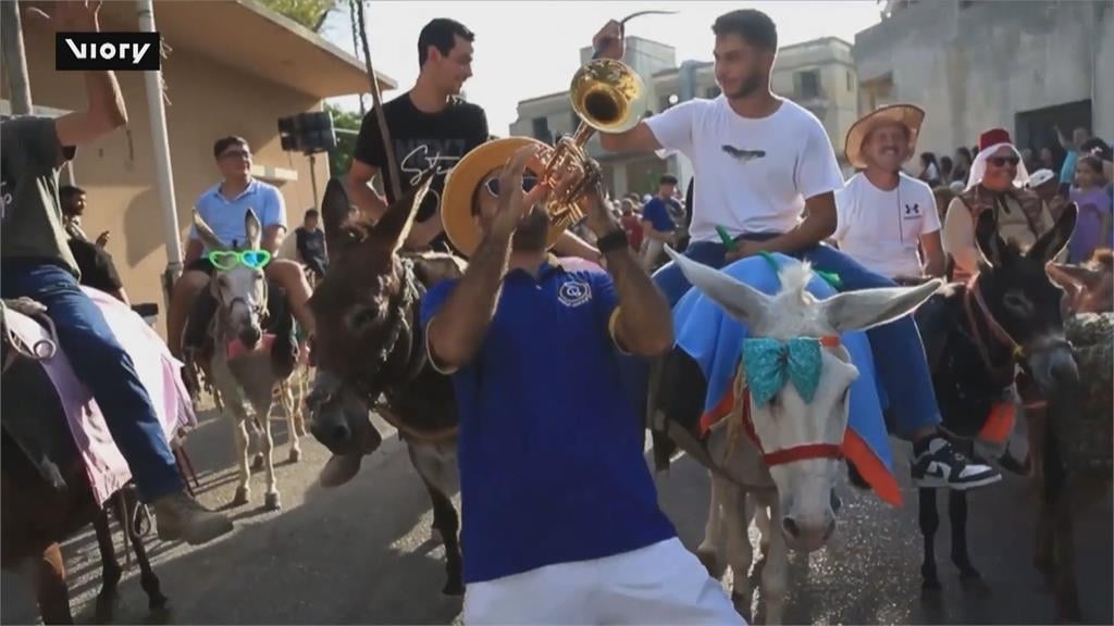 黎巴嫩飽受戰火摧殘 「騎驢比賽」中斷十年終恢復