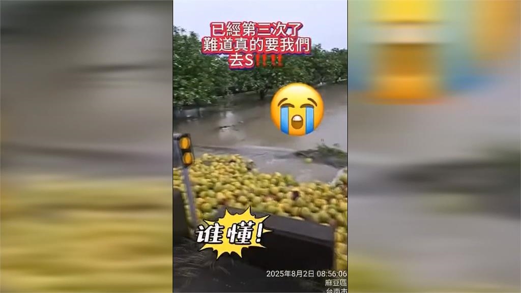 楊柳快閃網傳"台南文旦園泡水" 求證果農:未受太大損失