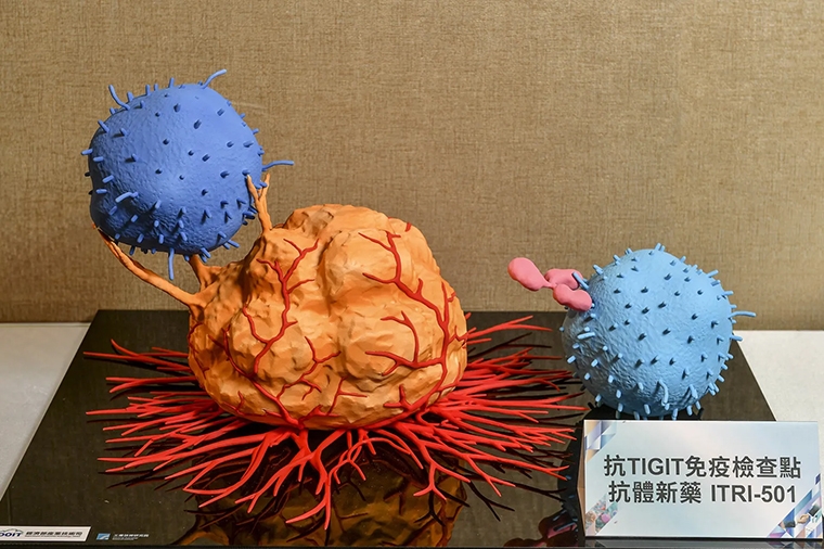 工研院抗TIGIT抗體新藥授權藥華醫藥 盼縮短研發時程