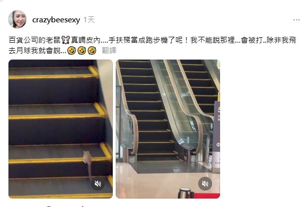 新北百貨老鼠逛大街　商店趴趴走　電扶梯當跑步機　