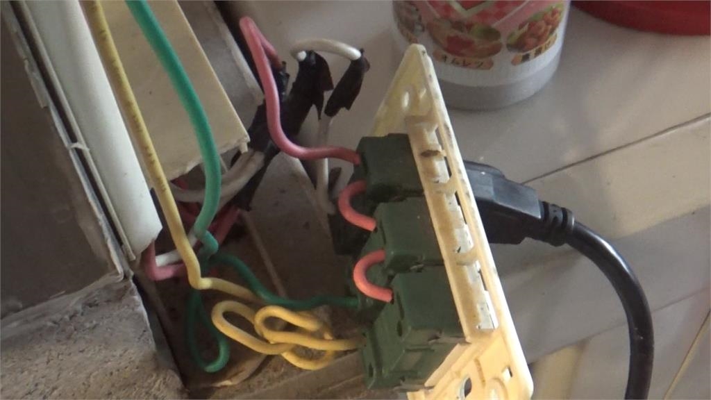 蟲蟲危機！　琉璃蟻版圖擴張入侵民宅