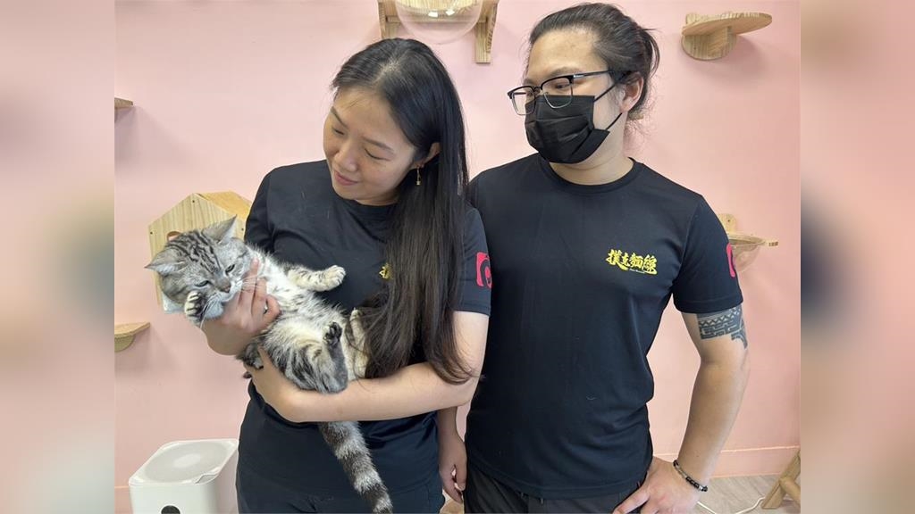 動保處新招！「認養小棧」首次結合餐廳　兩個月內3毛孩找到新家