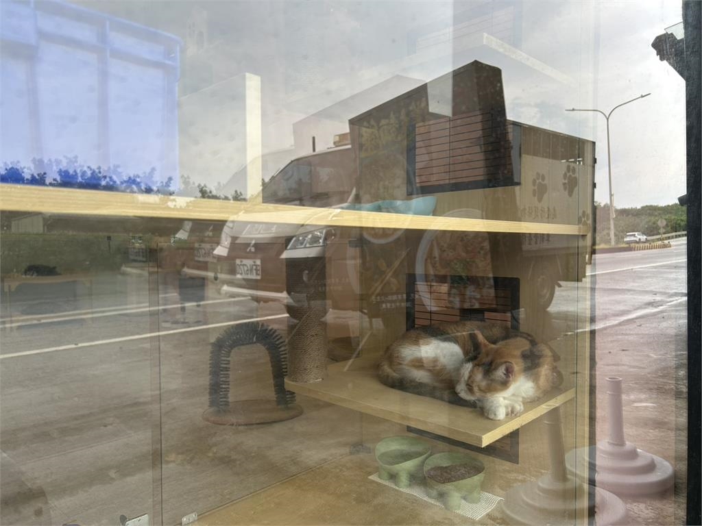 快新聞／動保處新招！「認養小棧」首次結合餐廳　兩個月內3毛孩找到新家