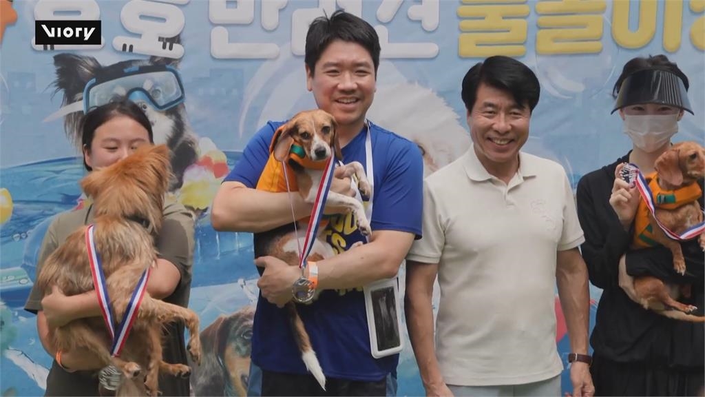 首爾辦狗狗游泳大賽 正宗「狗爬式」清涼又消暑