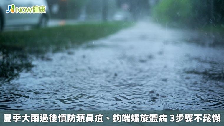 夏季大雨過後慎防類鼻疽、鉤端螺旋體病 3步驟不鬆懈