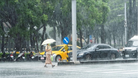 颱風過後慎防「屈公病」！ 疾管署籲：雨後速做4件事，別讓積水養出毒蚊大軍