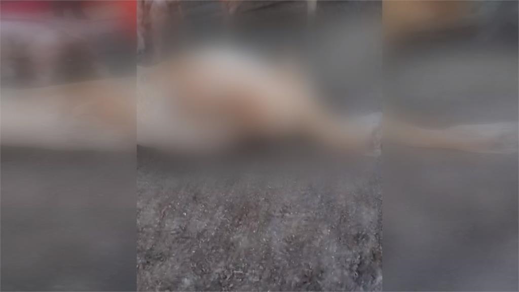 彰化羊群暴斃！疑土地糾紛　飼主控地主疑下藥毒死羊