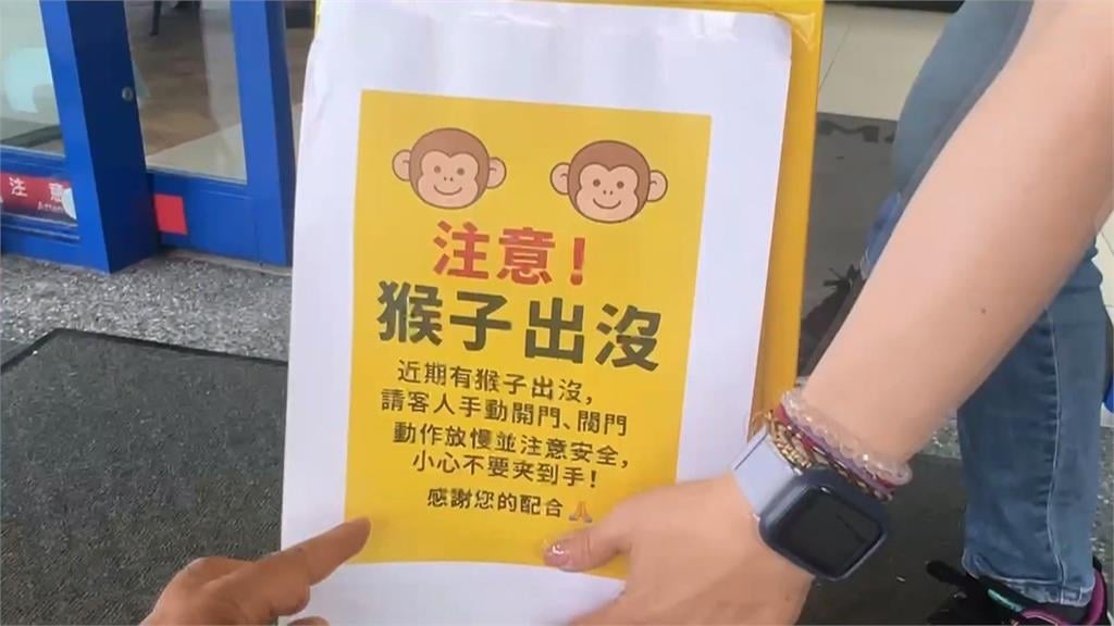 太熱受不了！高雄獼猴闖超商搶冰吃　民眾看傻眼