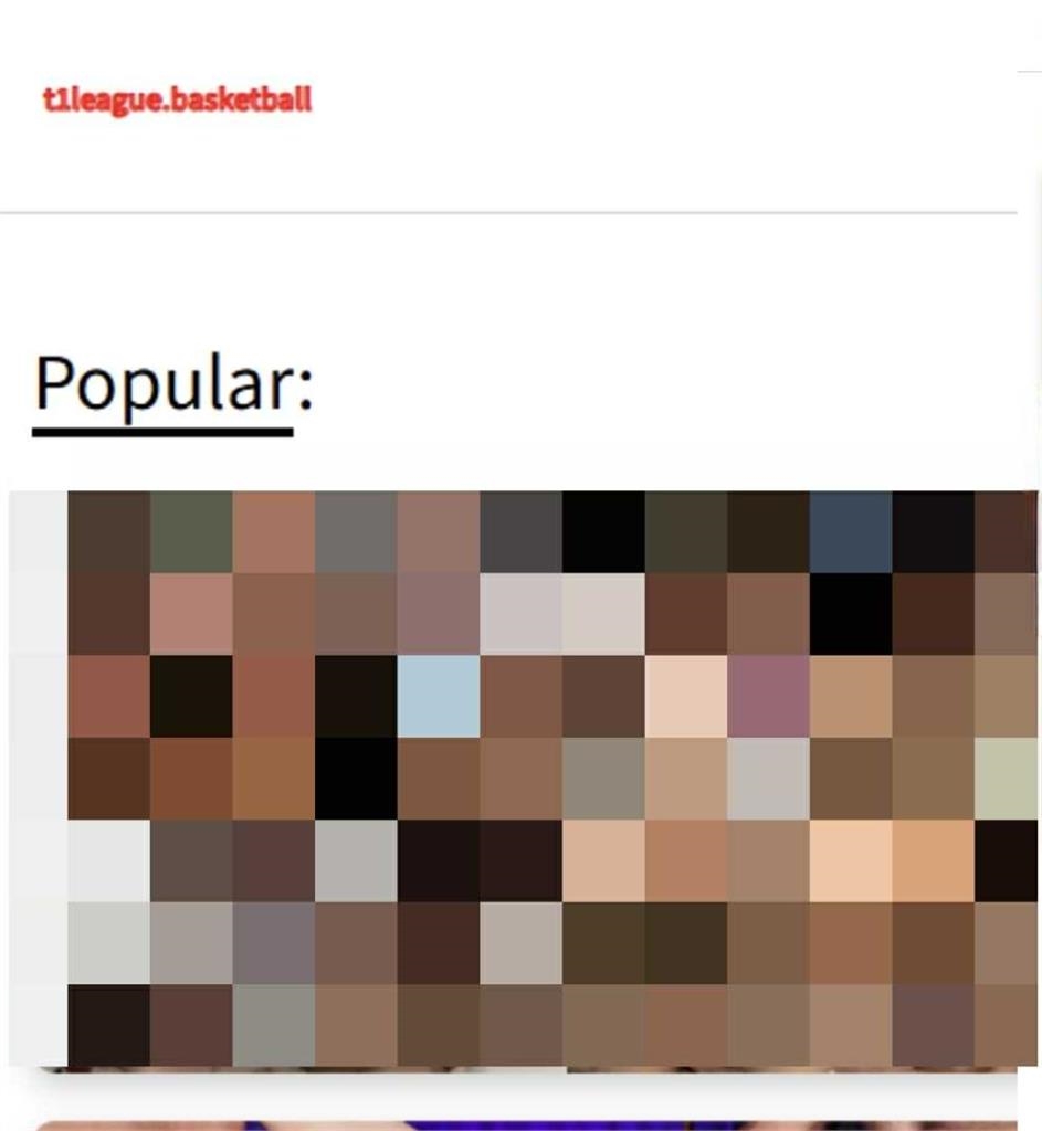 籃球／怎麼會變這樣？T1聯盟官網變成人網站　網笑：沒人管就變這樣