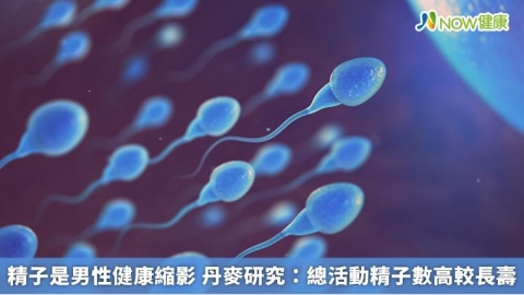 精子是男性健康縮影 丹麥研究：總活動精子數高較長壽