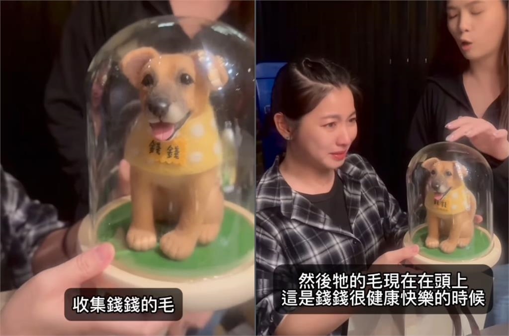 米可白13歲愛犬癌逝2個月！突收「1驚喜禮物」哭喊：我的寶貝…全網噴淚