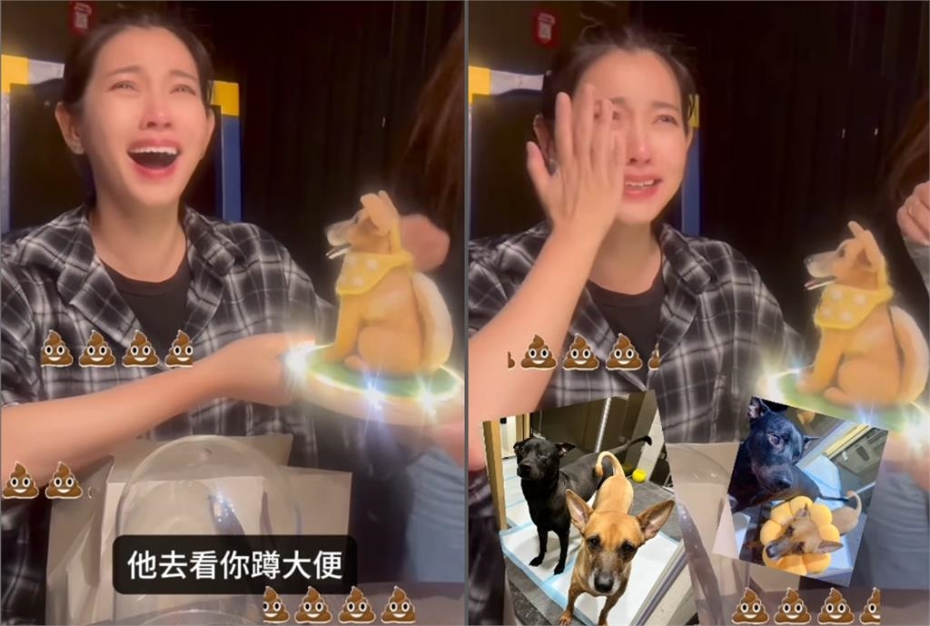 米可白13歲愛犬癌逝2個月！突收「1驚喜禮物」哭喊：我的寶貝…全網噴淚