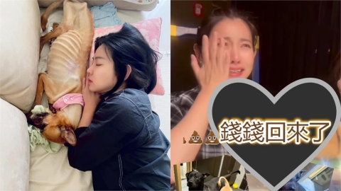 米可白13歲愛犬癌逝2個月！突收「1驚喜禮物」哭喊：我的寶貝…全網噴淚