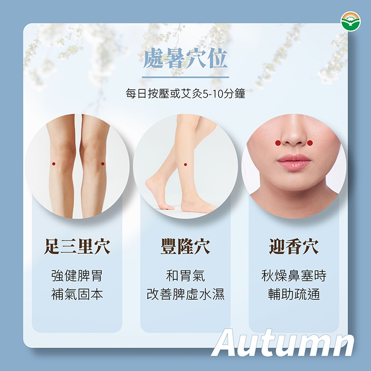 處暑到迎秋轉涼！季節轉換過渡期 中醫教你調理4對策