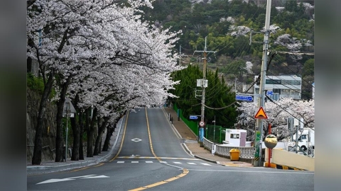 遊韓注意！釜山西部4地「臭氧超標」　恐影響環境、健康