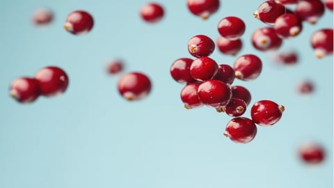 蔓越莓益生菌怎麼吃？營養師貼心分享6大挑選原則+實用建議