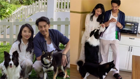 陶晶瑩遭轟送養愛犬　她親上火線9點聲明反擊「還原心酸內幕」：無法原諒自己