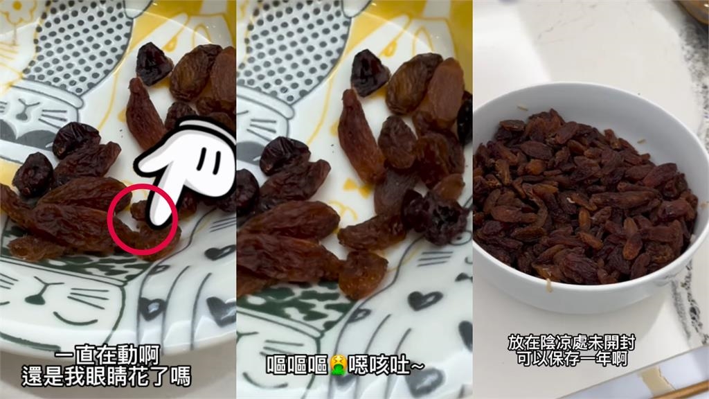 徐薇老師吃果乾驚見「白色蠕動」！整包倒出「全是蟲」她嚇瘋：救命