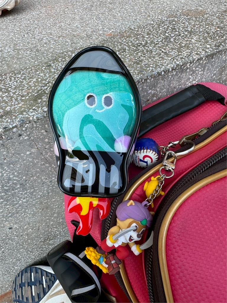 棒球／「特殊娃包」成威廉波特奪冠幸運物！文總祝賀台灣「這麼幸福是可以的嗎」