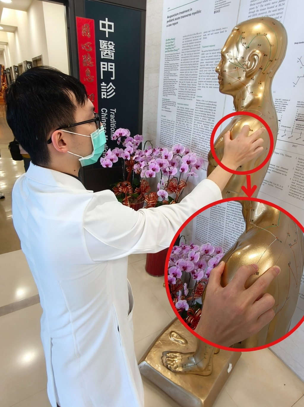 晚上痛醒、舉手困難?五十肩找上年輕人?門中醫分析4大類型成因