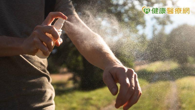 今年首起本土登革熱群聚現蹤高雄　疾管署籲：雨後落實防蚊