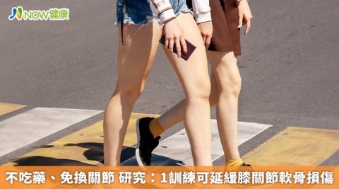 不吃藥、免換關節 研究:1訓練可延緩膝關節軟骨損傷