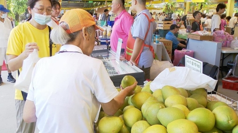 文旦受風災影響減產30% 柚農創意加工促銷催買氣