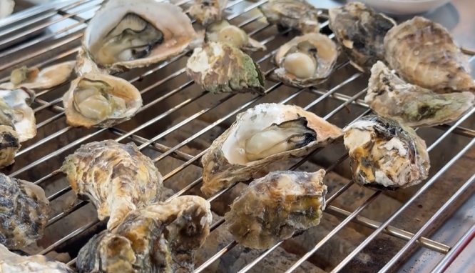 吃現撈！芳苑蚵仔Q彈有嚼勁　「蚵殼微開」烤出鮮滋味