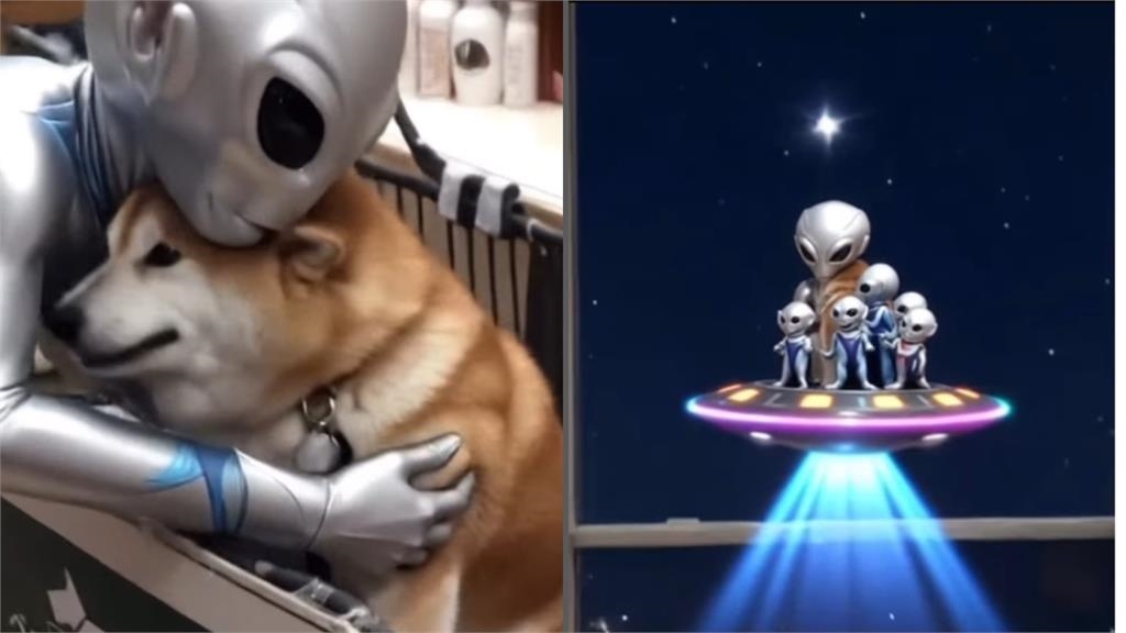 「不可以色色」迷因柴犬本尊驚傳離世！主人親證實：牠踏上彩虹橋了