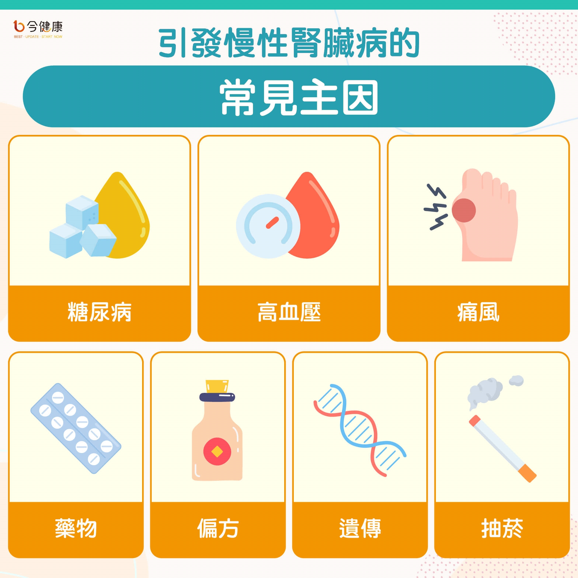 腎臟病、年紀大、還要防肌少症？醫教３招，吃好、動好、免煩惱！