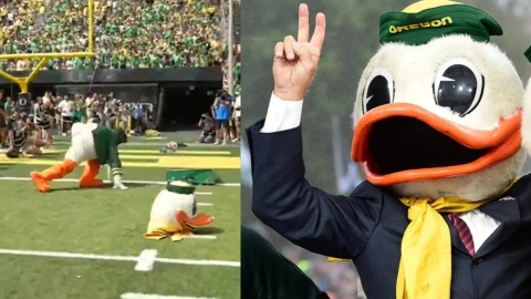 綜合(影)／搜奇！全美知名吉祥物「奧勒岡鴨」跑出場竟「斷頭」害羞退場網瘋傳