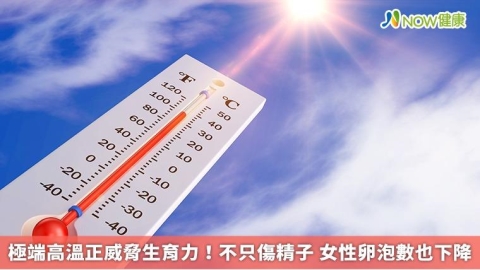 極端高溫正威脅生育力！不只傷精子 女性卵泡數也下降