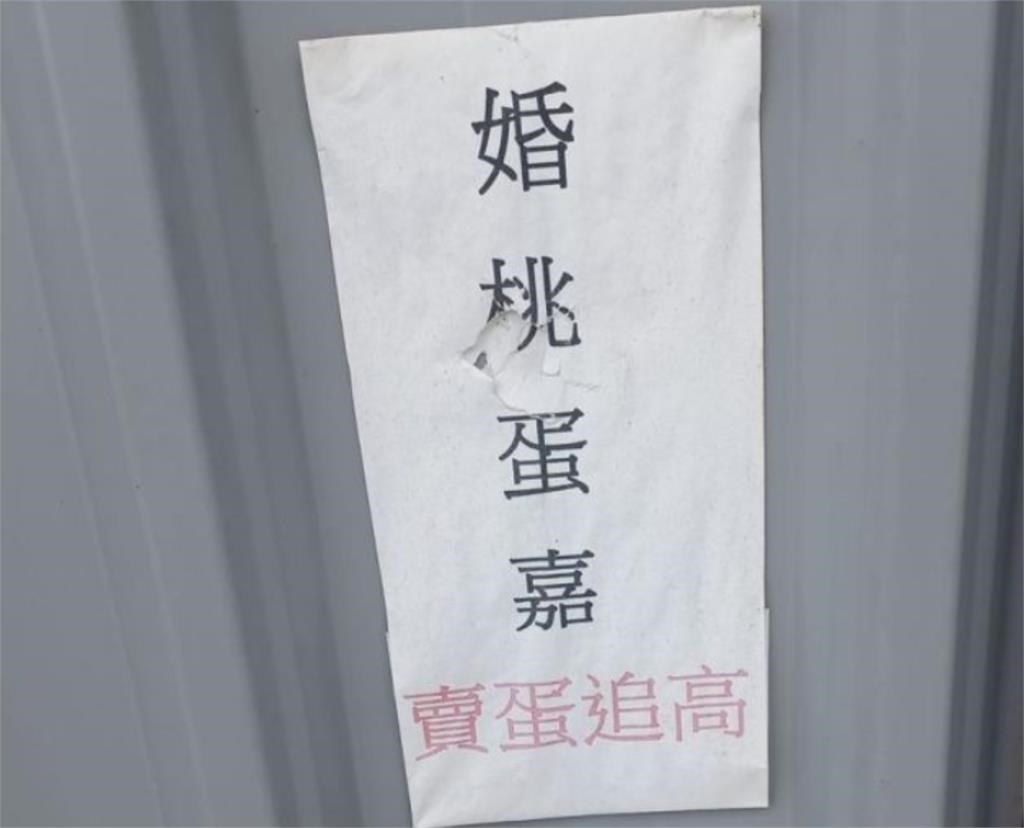 8字神秘標語「婚桃蛋嘉賣蛋追高」一票網看傻…內行人讀完秒懂：太好笑了！