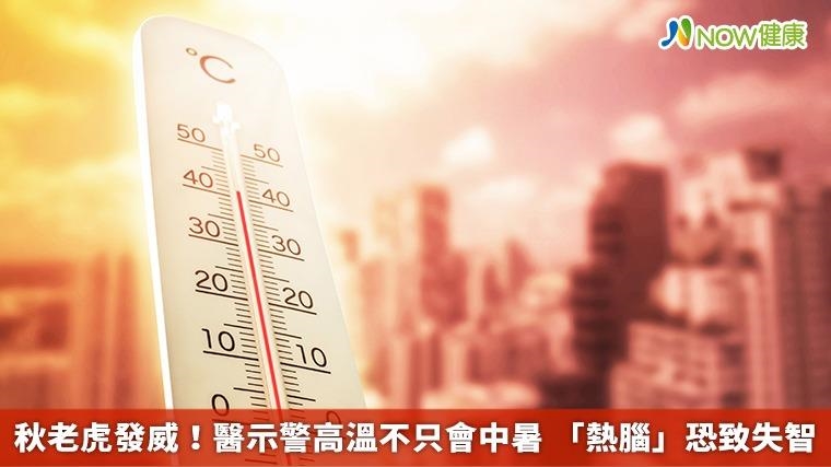 秋老虎發威！醫示警高溫不只會中暑 「熱腦」恐致失智